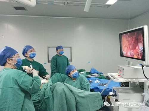 技術創新與服務用心 以信息技術咨詢服務推動醫院高質量發展